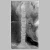 ASF-P-00166 Lots Wife.jpg